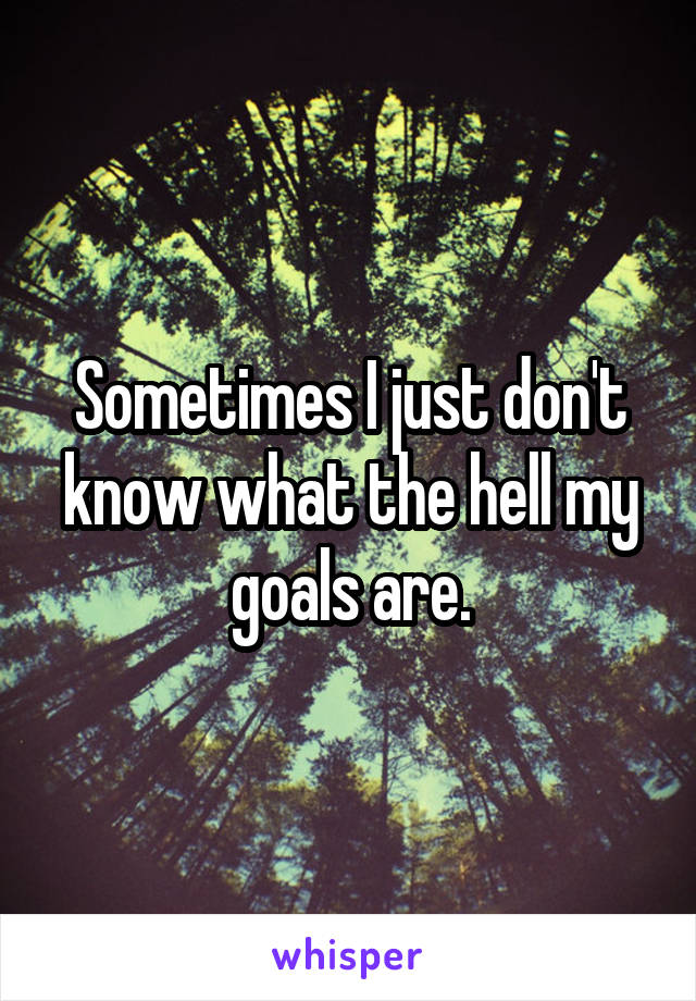 Sometimes I just don't know what the hell my goals are.