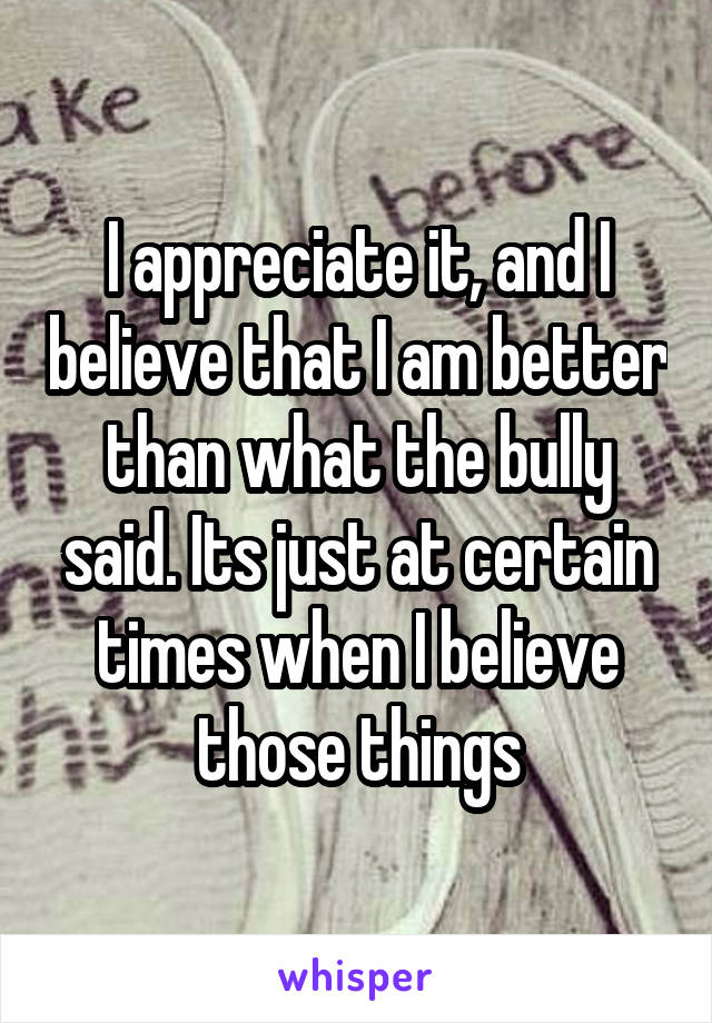 I appreciate it, and I believe that I am better than what the bully said. Its just at certain times when I believe those things