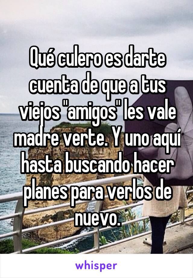 Qué culero es darte cuenta de que a tus viejos "amigos" les vale madre verte. Y uno aquí hasta buscando hacer planes para verlos de nuevo.