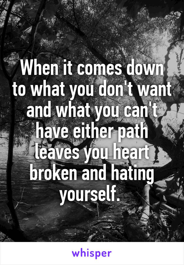 When it comes down to what you don't want and what you can't have either path leaves you heart broken and hating yourself. 