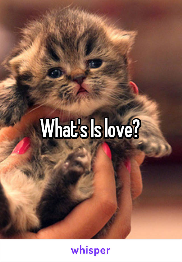 What's Is love? 