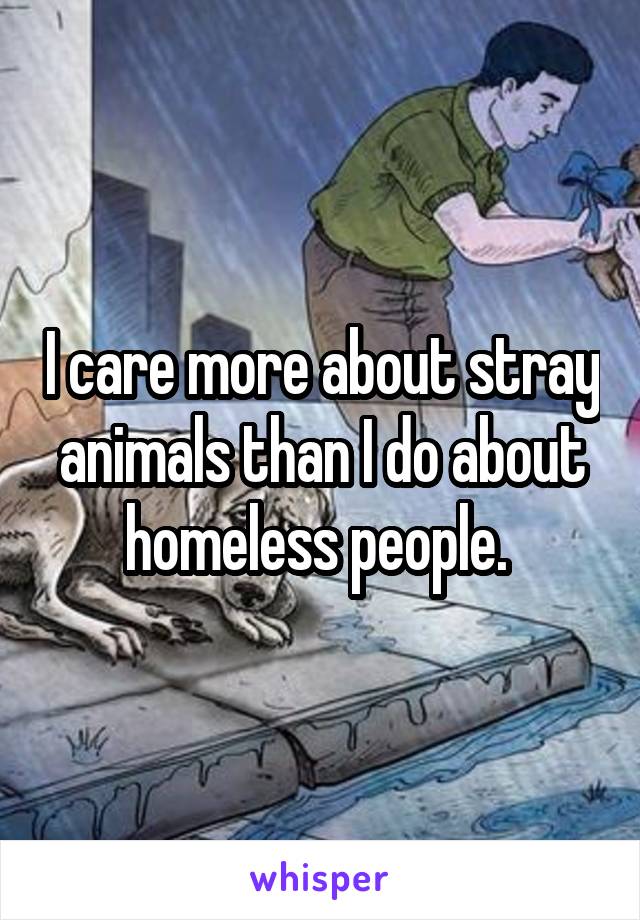 I care more about stray animals than I do about homeless people. 