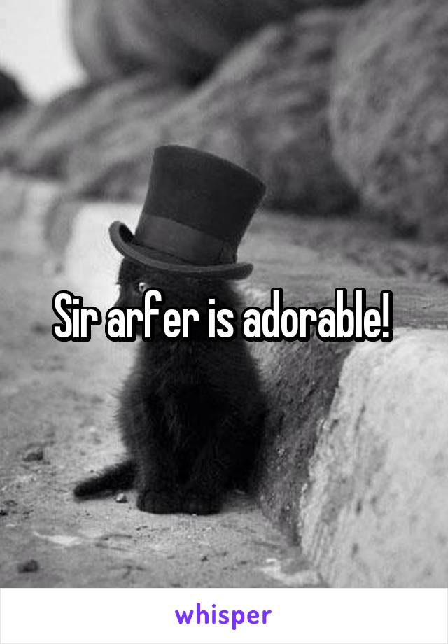 Sir arfer is adorable! 