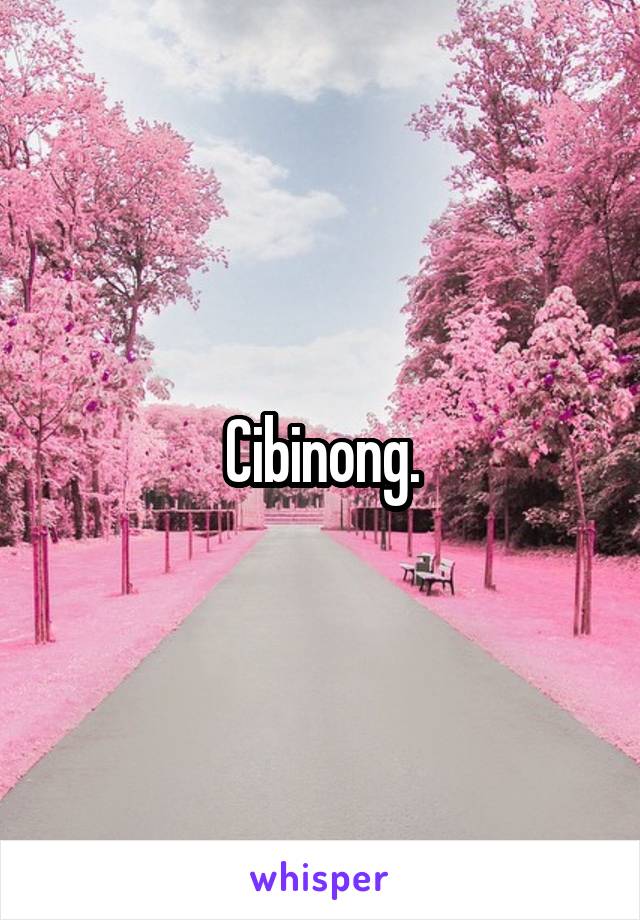 Cibinong.