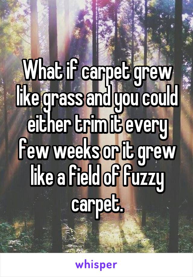 What if carpet grew like grass and you could either trim it every few weeks or it grew like a field of fuzzy carpet.