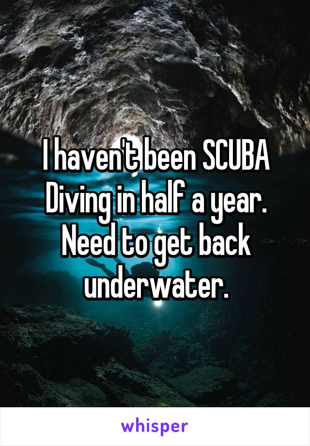 I haven't been SCUBA Diving in half a year. Need to get back underwater.