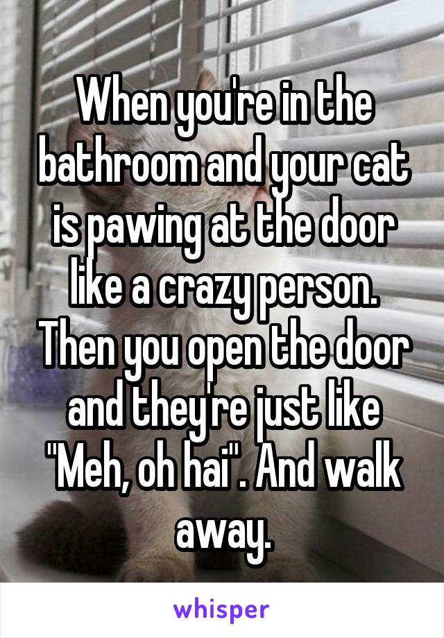 When you're in the bathroom and your cat is pawing at the door like a crazy person. Then you open the door and they're just like "Meh, oh hai". And walk away.