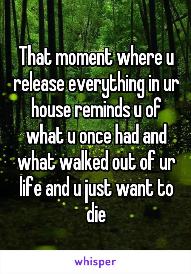 That moment where u release everything in ur house reminds u of what u once had and what walked out of ur life and u just want to die