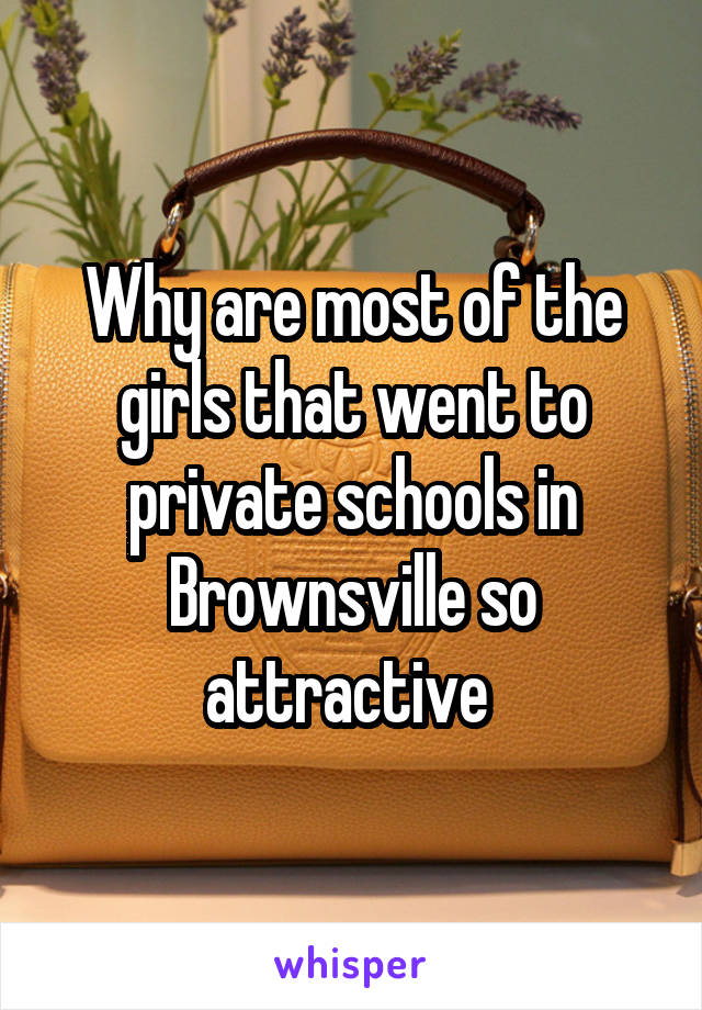 Why are most of the girls that went to private schools in Brownsville so attractive 