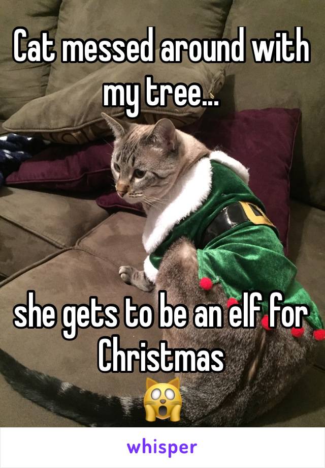 Cat messed around with my tree... 




she gets to be an elf for Christmas 
🙀