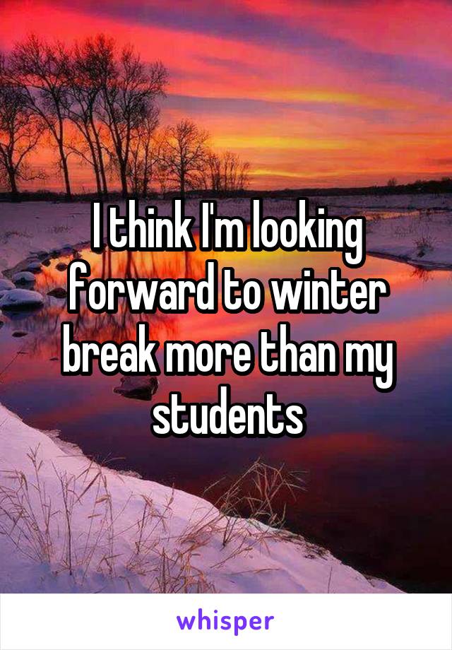 I think I'm looking forward to winter break more than my students