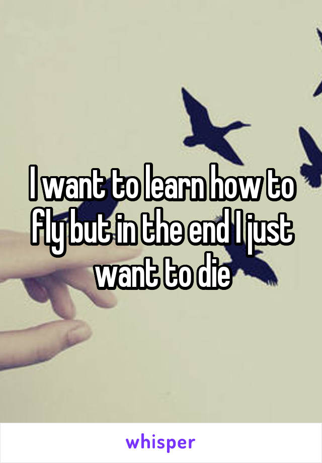 I want to learn how to fly but in the end I just want to die