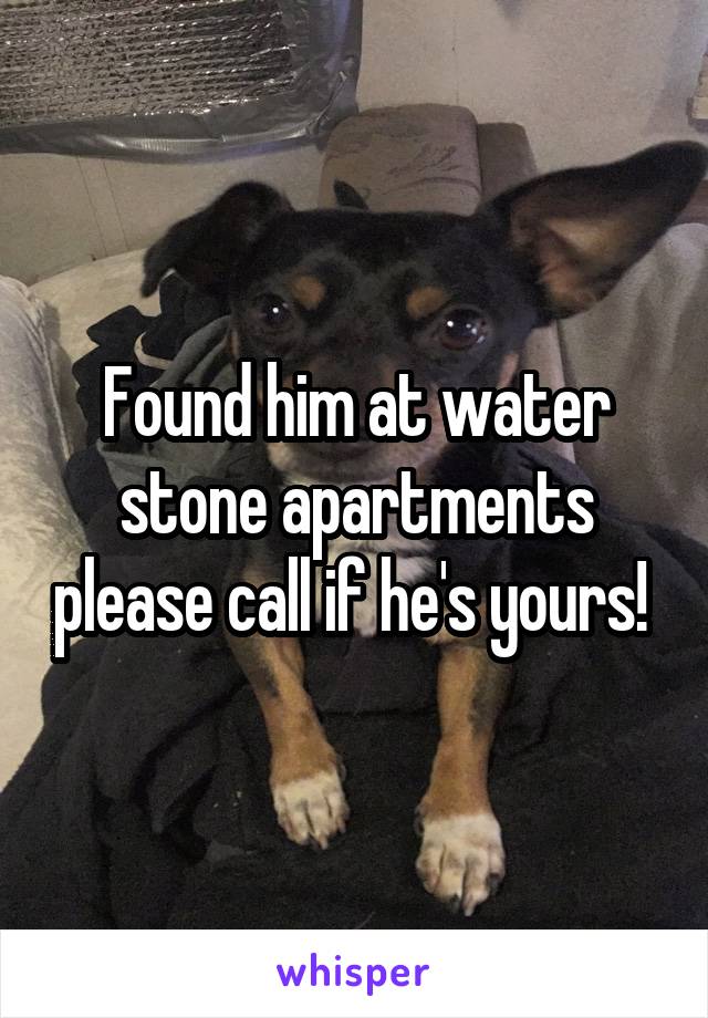 Found him at water stone apartments please call if he's yours! 