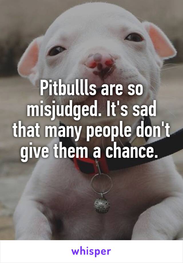 Pitbullls are so misjudged. It's sad that many people don't give them a chance. 
