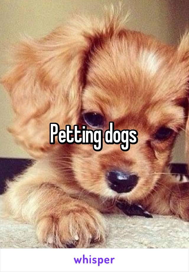 Petting dogs 