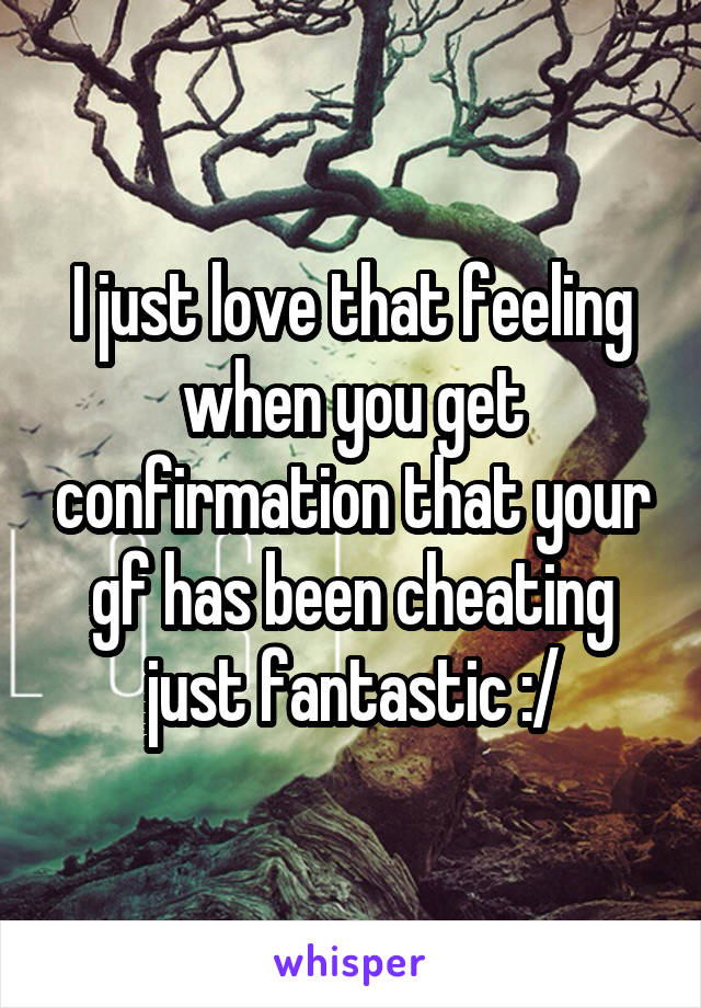 I just love that feeling when you get confirmation that your gf has been cheating just fantastic :/