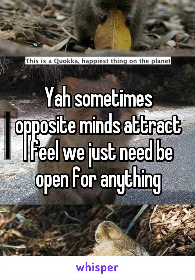 Yah sometimes opposite minds attract
I feel we just need be open for anything