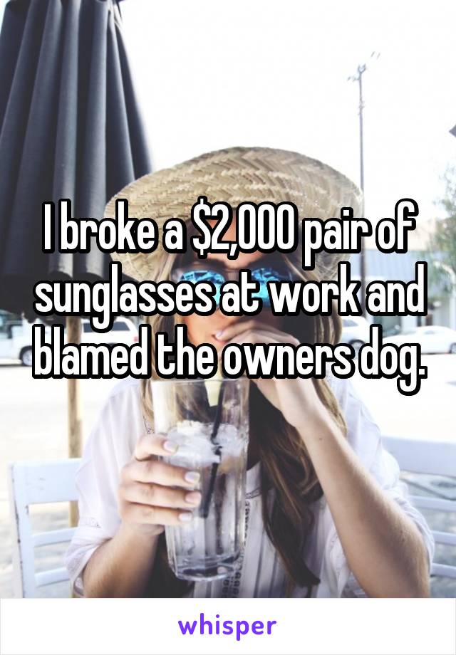 I broke a $2,000 pair of sunglasses at work and blamed the owners dog. 