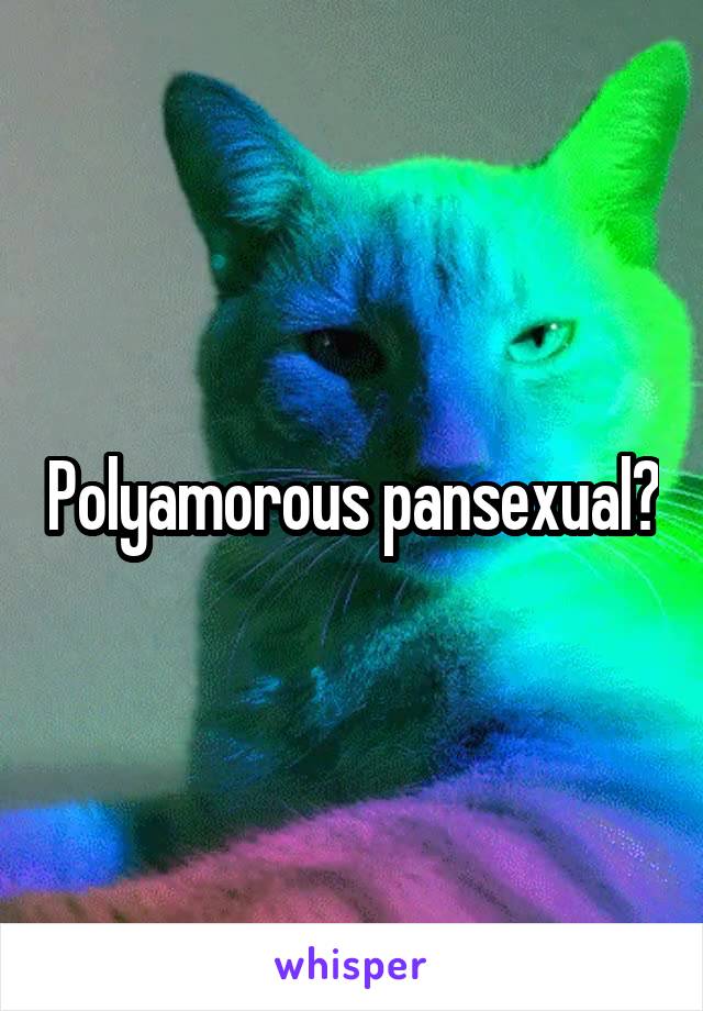 Polyamorous pansexual?