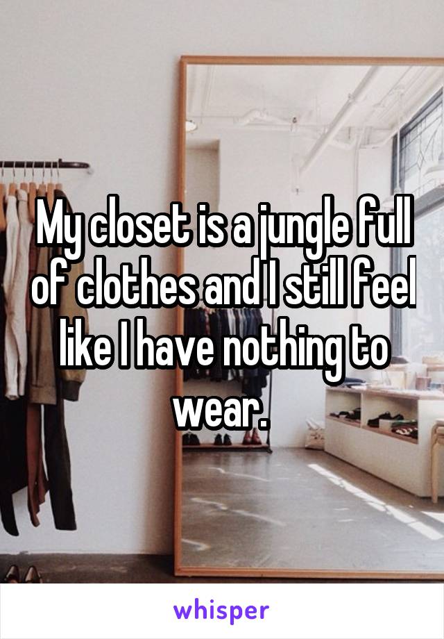 My closet is a jungle full of clothes and I still feel like I have nothing to wear. 