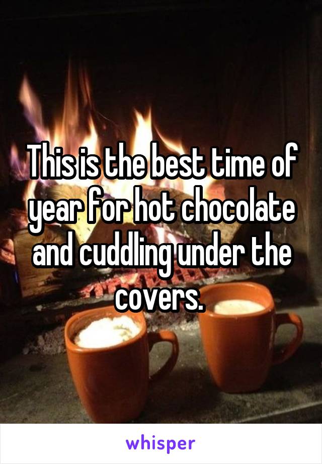 This is the best time of year for hot chocolate and cuddling under the covers. 