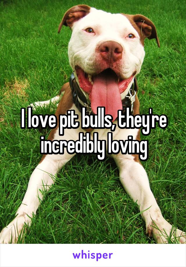 I love pit bulls, they're incredibly loving