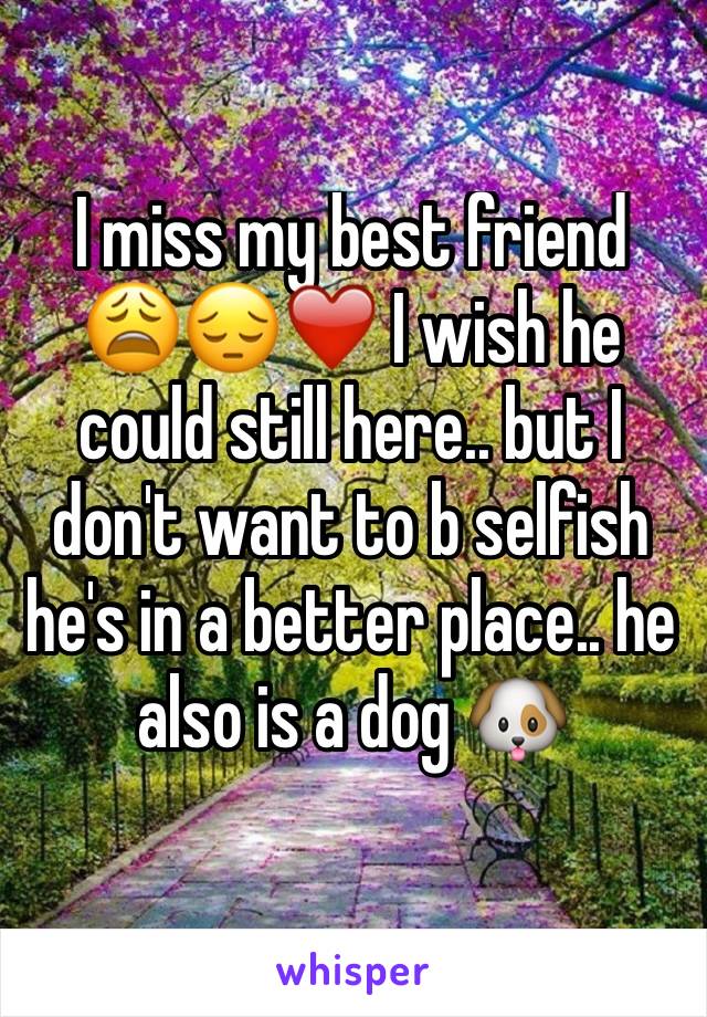 I miss my best friend 😩😔❤️ I wish he could still here.. but I don't want to b selfish he's in a better place.. he also is a dog 🐶 