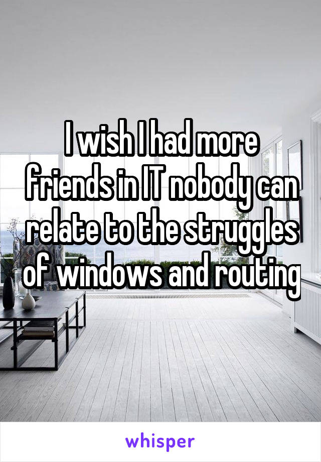 I wish I had more friends in IT nobody can relate to the struggles of windows and routing 