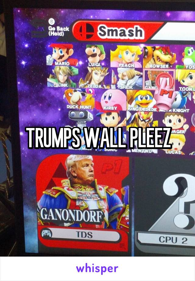 TRUMPS WALL PLEEZ