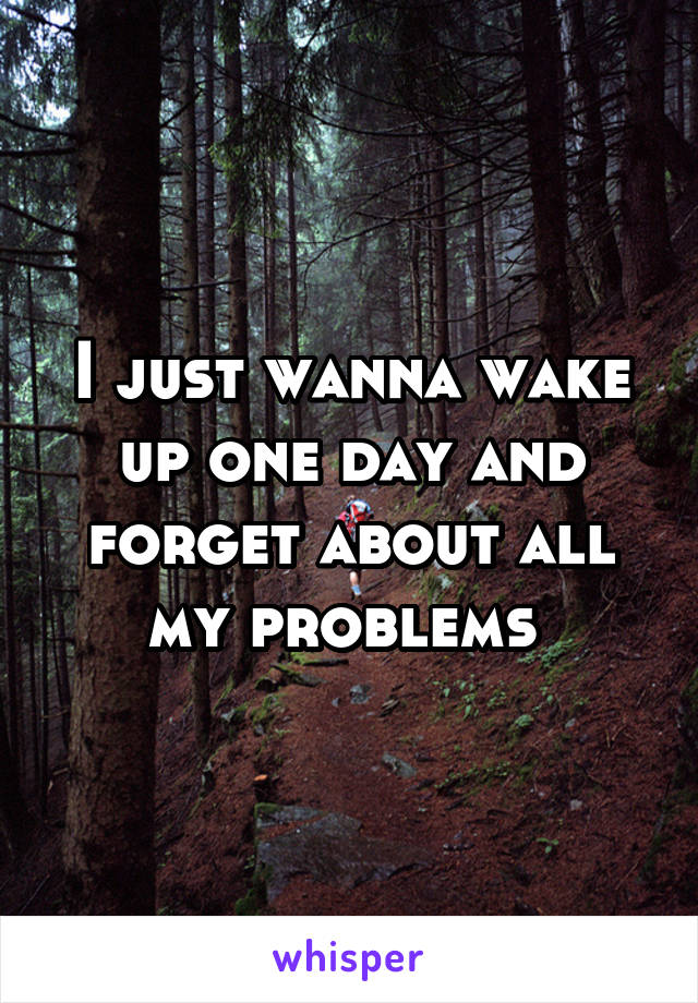 I just wanna wake up one day and forget about all my problems 