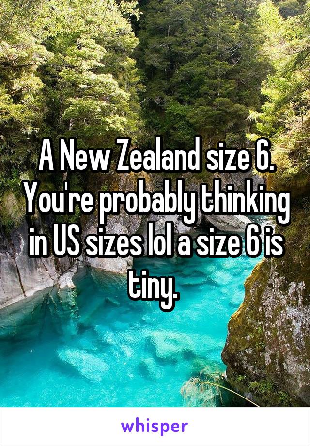 A New Zealand size 6. You're probably thinking in US sizes lol a size 6 is tiny. 