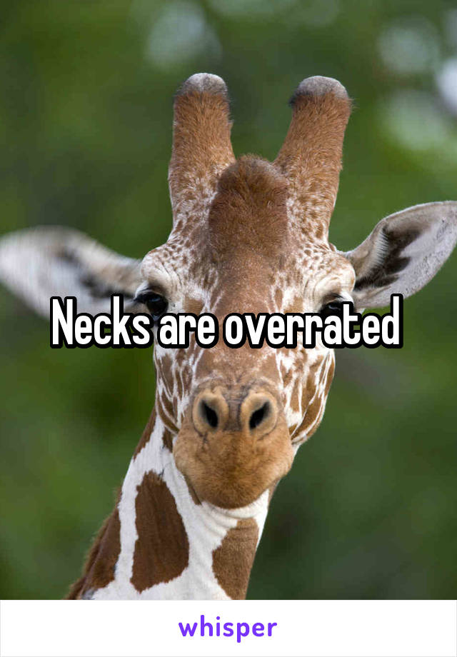 Necks are overrated 