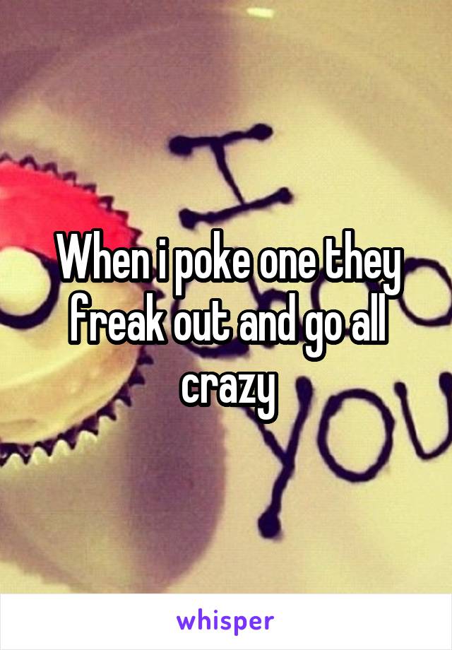 When i poke one they freak out and go all crazy