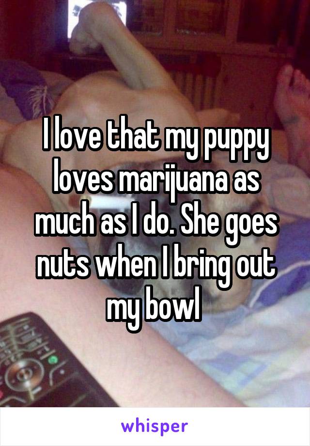 I love that my puppy loves marijuana as much as I do. She goes nuts when I bring out my bowl 