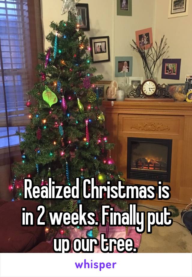 





Realized Christmas is in 2 weeks. Finally put up our tree. 