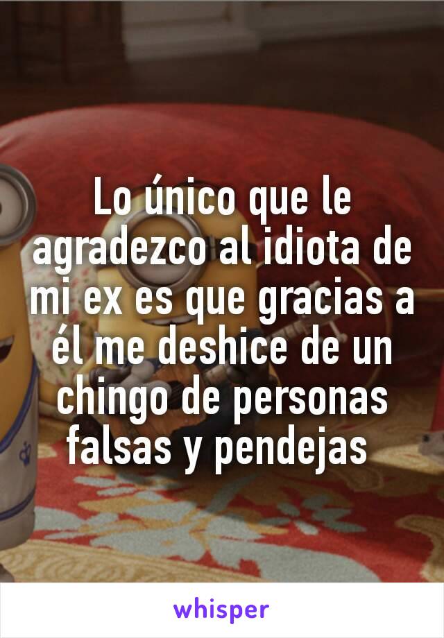 Lo único que le agradezco al idiota de mi ex es que gracias a él me deshice de un chingo de personas falsas y pendejas 