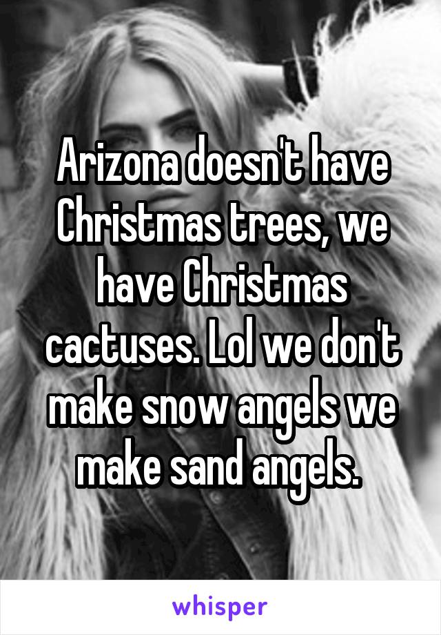 Arizona doesn't have Christmas trees, we have Christmas cactuses. Lol we don't make snow angels we make sand angels. 