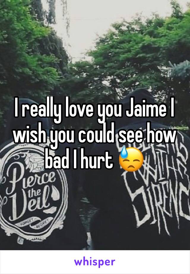 I really love you Jaime I wish you could see how bad I hurt 😓