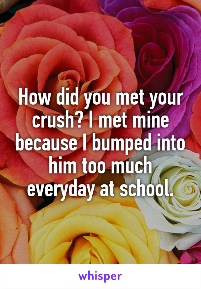 How did you met your crush? I met mine because I bumped into him too much everyday at school.