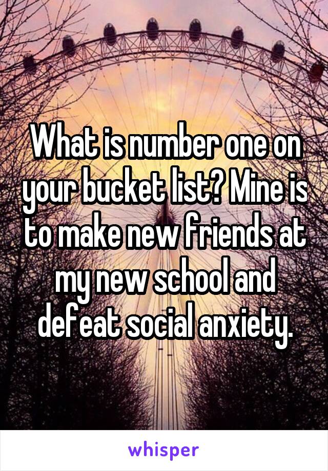 What is number one on your bucket list? Mine is to make new friends at my new school and defeat social anxiety.