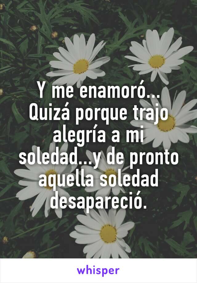 Y me enamoró...
Quizá porque trajo alegría a mi soledad...y de pronto aquella soledad desapareció.