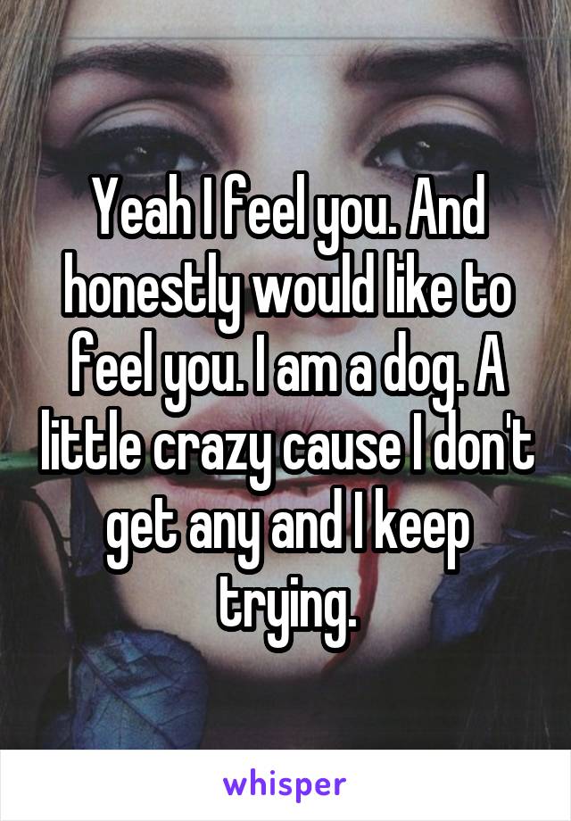 Yeah I feel you. And honestly would like to feel you. I am a dog. A little crazy cause I don't get any and I keep trying.