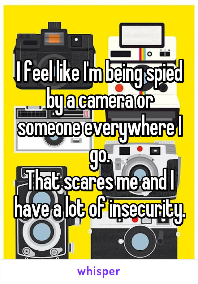 I feel like I'm being spied by a camera or someone everywhere I go.
That scares me and I have a lot of insecurity.