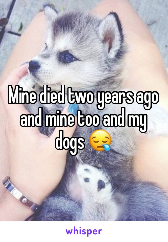 Mine died two years ago and mine too and my dogs 😪