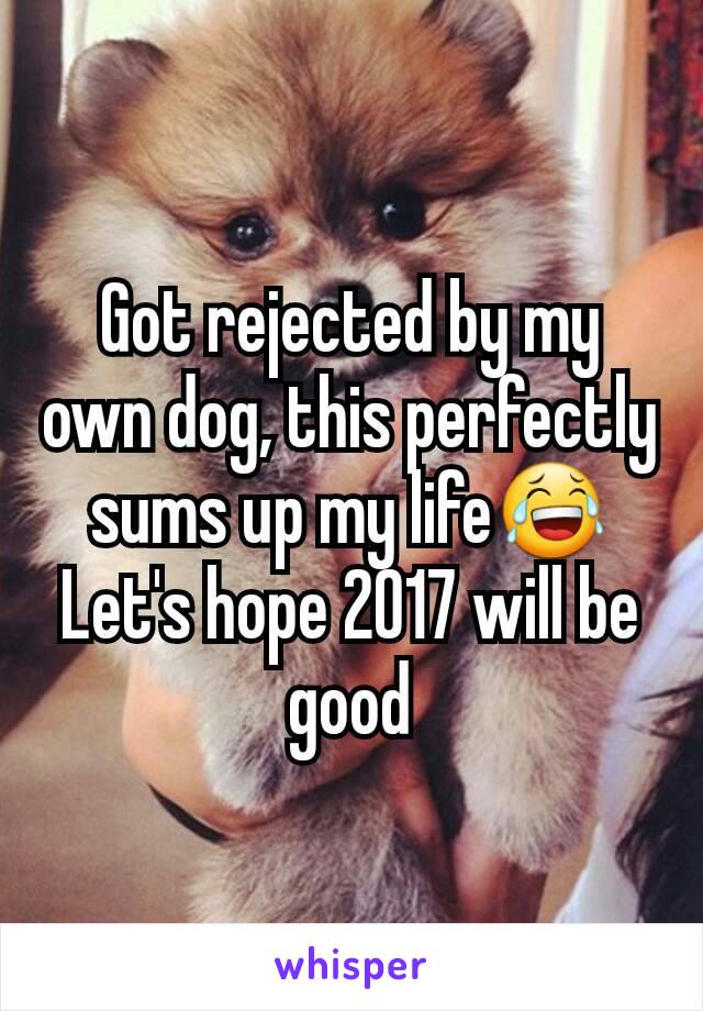 Got rejected by my own dog, this perfectly sums up my life😂
Let's hope 2017 will be good