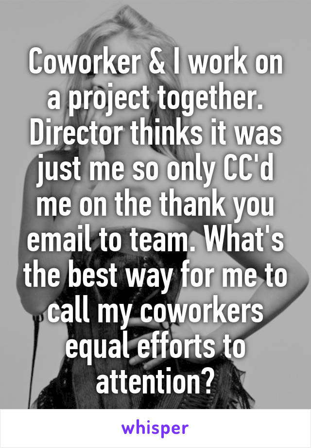 Coworker & I work on a project together. Director thinks it was just me so only CC'd me on the thank you email to team. What's the best way for me to call my coworkers equal efforts to attention?