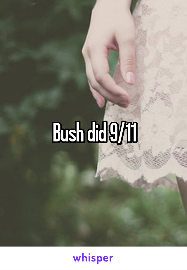 Bush did 9/11