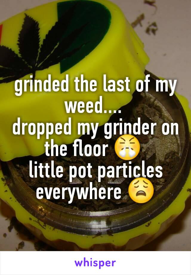 grinded the last of my weed.... 
dropped my grinder on the floor 😤 
little pot particles everywhere 😩