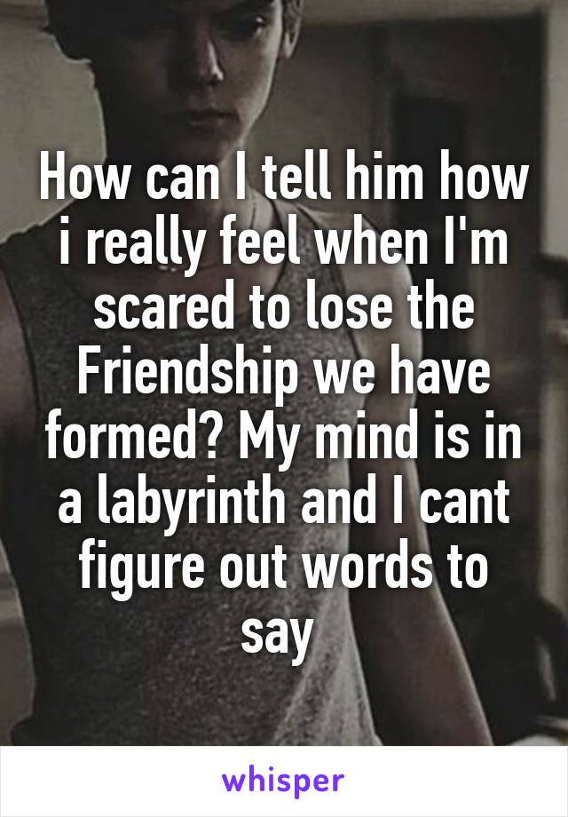 How can I tell him how i really feel when I'm scared to lose the Friendship we have formed? My mind is in a labyrinth and I cant figure out words to say 