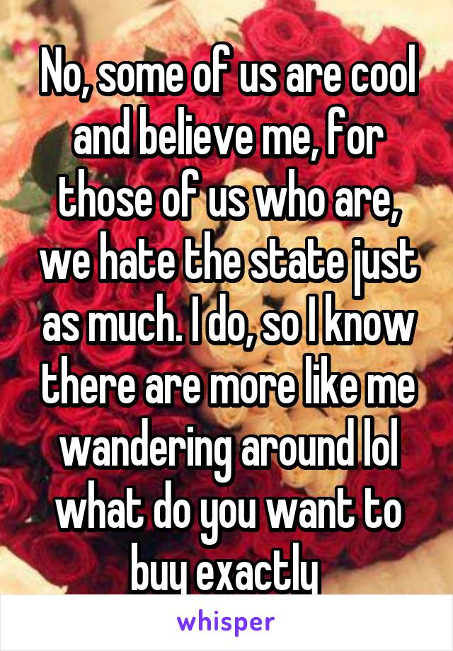 No, some of us are cool and believe me, for those of us who are, we hate the state just as much. I do, so I know there are more like me wandering around lol what do you want to buy exactly 